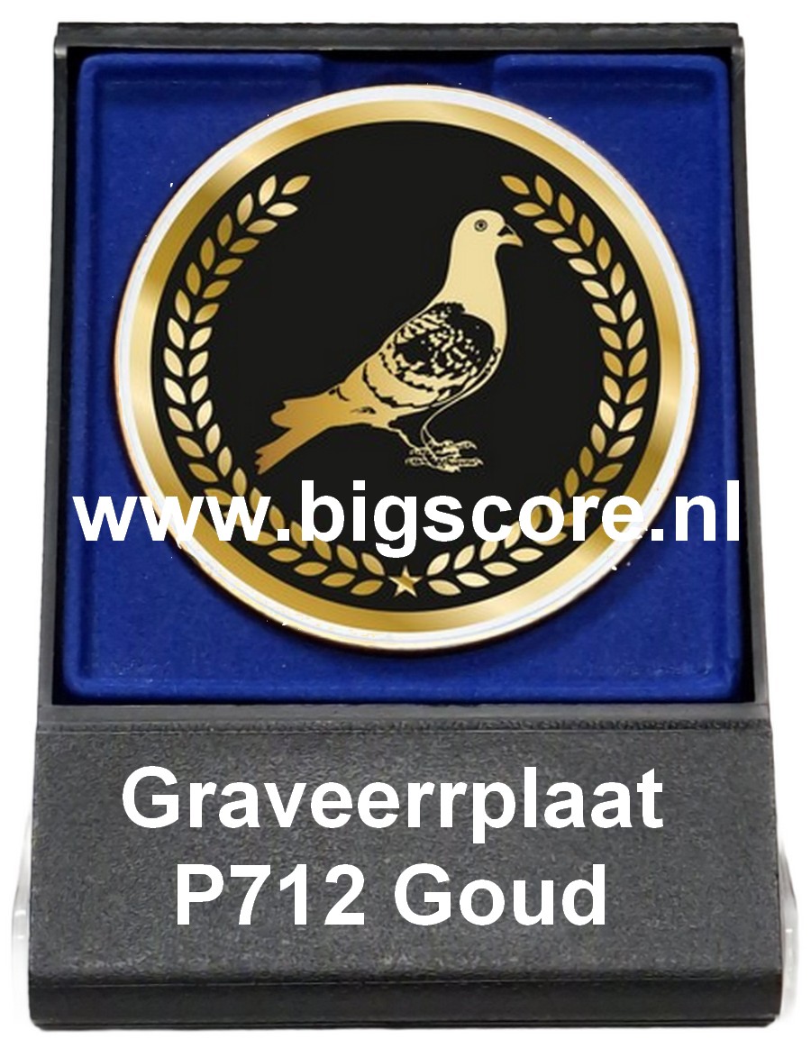 Duif Acryl in medailledoosje Blauw-Zwart G/Z/B
